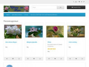 Сайт комнатных растений "Фиалки" Самара купить в Самаре
