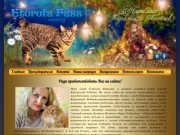 Рада приветствовать Вас на сайте! | Etorofu fuss cattery - Питомник Курильских бобтейлов