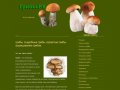 Все о грибах - Грибы: выращивание грибов, съедобные грибы ягоды