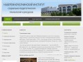 Набережночелнинский институт социально-педагогических технологий и ресурсов