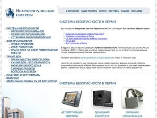 Системы безопасности в Перми | Интеллектуальные системы