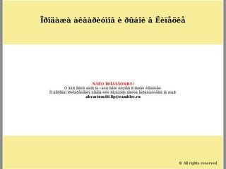 Продажа аквариумов и рыбок в Липецке