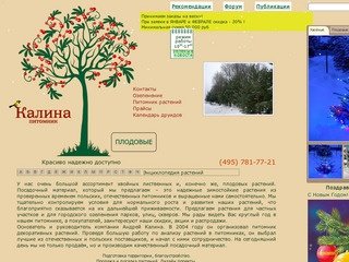 Питомник декоративных растений Калина - озеленение, продажа: саженцы