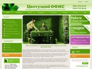 Цветущий Офис, Комнатные растения в Санкт-Петербурге, горшечные растения с доставкой в СПб.