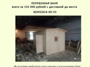 Перевозная баня в Казани