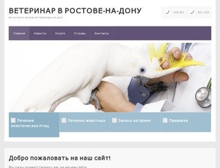 Ветеринар в Ростове-на-Дону — ветуслуги, вызов ветеринара на дом