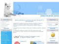 Интернет-магазин - Компания Белый кот, белый кот интернет-магазин екатеринбург