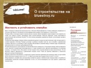 Строительство дома своими руками с bluestroy в Москве