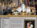 Питомник британских кошек White Milash, Вологда