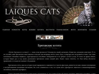 Британские котята в Ярославле на продажу | Питомник британских кошек.