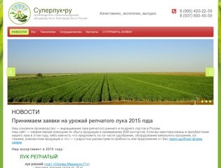 Лук репчатый оптом от производителя в России, урожай 2015 г