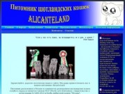 Питомник шотландских кошек AlicanteLand