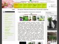 Купить горшечные растения, интернет магазин цветов в Москве, экзотические цветы, бонсай, фикус