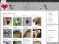 Каштанка | Общество защиты животных города Таганрога