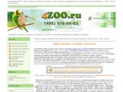Зоомагазин 4ZOO.ru - Корм и другие зоотовары для собаки, кошки
