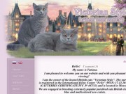 Сайт питомника британских кошек Victorian Style г. Москва