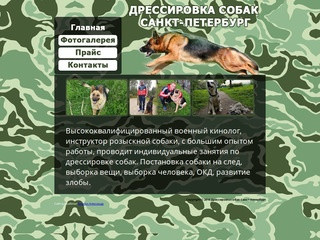 Дрессировка собак Санкт-Петербург | 