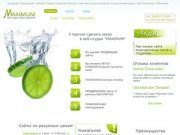 Веб-студия МАКСИМУМ в Твери и Тверской области | Создание сайта