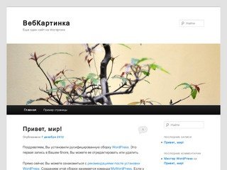 ВебКартинка - создание сайтов и интернет-реклама в Воронеже