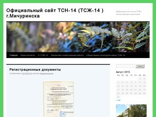 Официальный сайт  ТСН