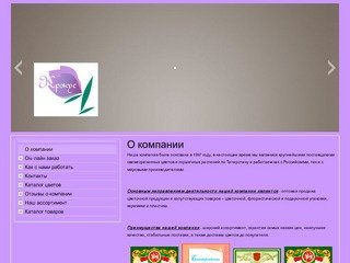 КРОКУС - Цветы оптом Казань