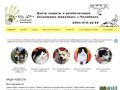 Приют для бездомных животных "Наш дом", Челябинск. Собаки, щенки, коты, кошки, котята в добрые руки