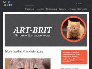 Питомник британских кошек 