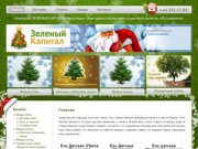 Купить новогодние елки и ели с доставкой по Москве.