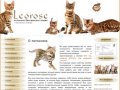 Питомник бенгальских кошек  "Leorose" г. Комсомольск-на-Амуре