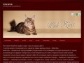 Питомник кошек породы Мейн-кун (Россия, Свердловская область, Екатеринбург)