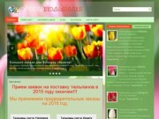 Каталог тюльпанов в Абакане