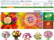 Доставка цветов в Архангельске