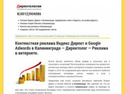 Контекстная реклама Яндекс директ и Google Adwords в Калининграде