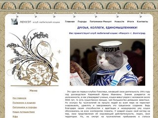 Клуб любителей кошек Менуэт г. Волгоград