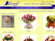 Салон Бонжур - продажа цветов, шаров, оформление праздников в Сыктывкаре