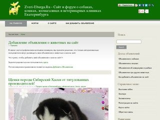 Zveri-Eburga.Ru - Сайт и форум о собаках, кошках, зоомагазинах и ветеринарных клиниках Екатеринбурга