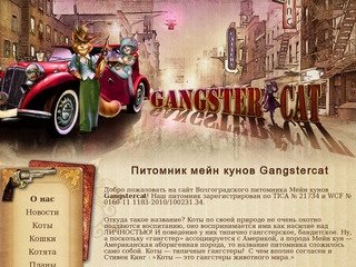 Gangstercat — питомник Мейн кунов, Мейн кун Волгоград. Котята Мейн кун