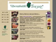 Цветочный базар - оптовая торговля живыми и горшечными цветами в Санкт-Петербурге;