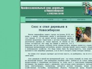 Спил, снос, вырубка деревьев в Новосибирске | Удаление деревьев по низким ценам