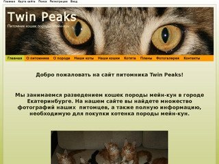 Продажа котят породы мейн-кун в Екатеринбурге. Питомник Twin Peaks/