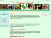 Координационный совет добровольчества Республики Татарстан