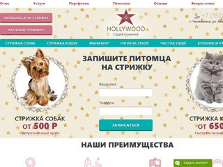 Студия груминга Hollywood в Челябинске, стрижка собак и кошек в зоосалоне