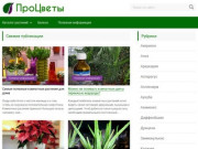 Сайт Процветы.ру содержит огромное количество информации по уходу за домашними растениями (Россия, Ленинградская область, Санкт-Петербург)