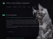 Maine Coon Cattery Yugracats