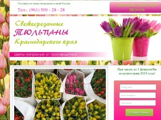Тюльпаны Краснодарского края оптом