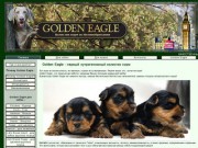 Корсм для собак и кошек - Golden Eagle - первый нутригеномный холистик корм в Пензе.