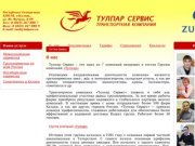 Компания Тулпар Сервис в Казани предлагает полный комплекс транспортных услуг
