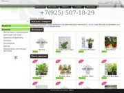 Интернет-магазин комнатных растений для дома и офиса по доступным ценам