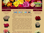 Доставка цветов Ставрополь