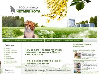 Четыре Кота - Комфортабельная гостиница для кошек в Москве  8-909-634-04-84